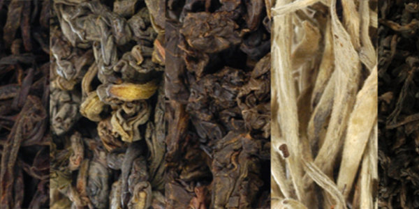 Stories of Tea