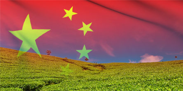 Elmstock - Stories of Tea